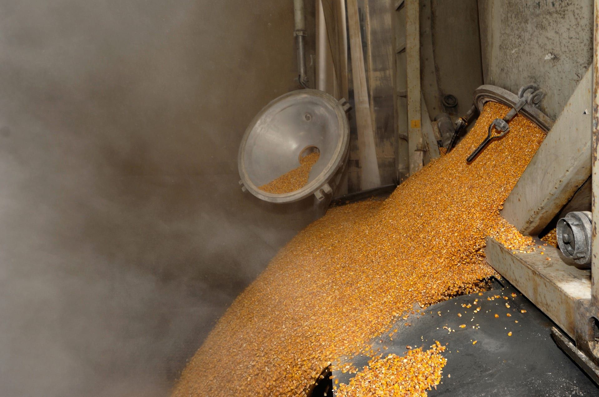 Grano de maíz dentro de un molino industrial