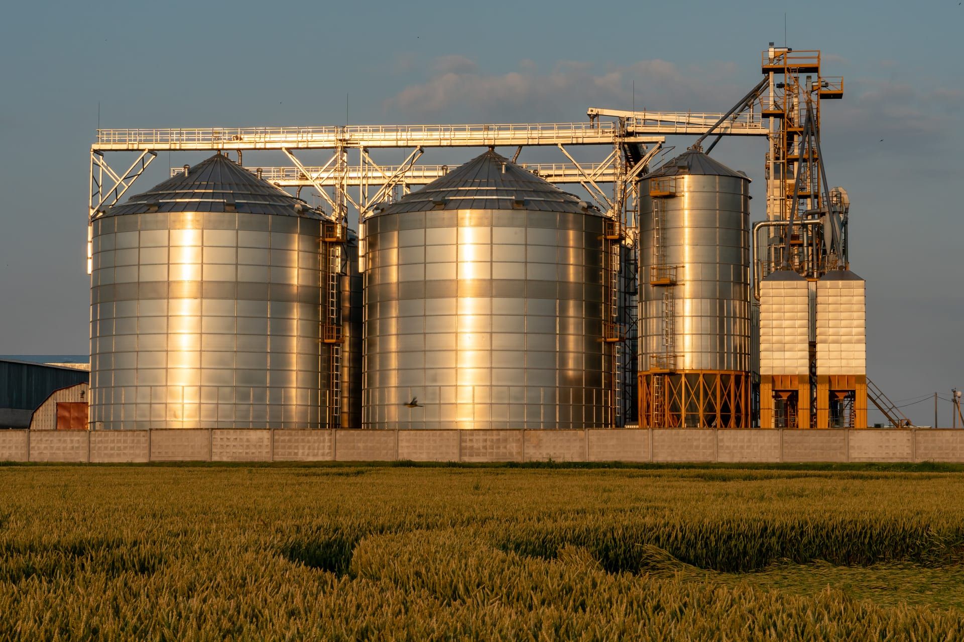 Silos de grano junto a un campo de cereal al atardecer