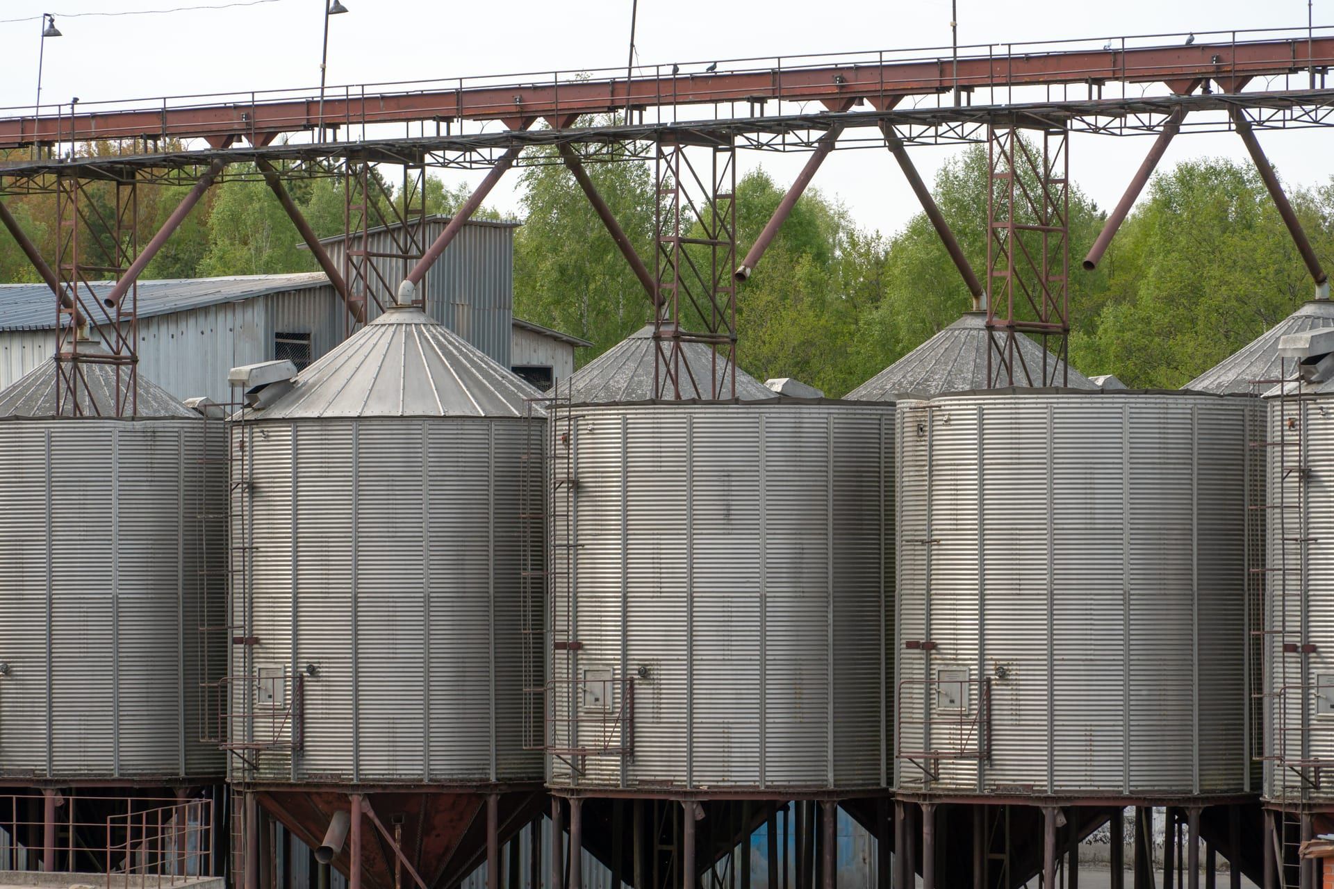 Silos de grano rodeados de árboles