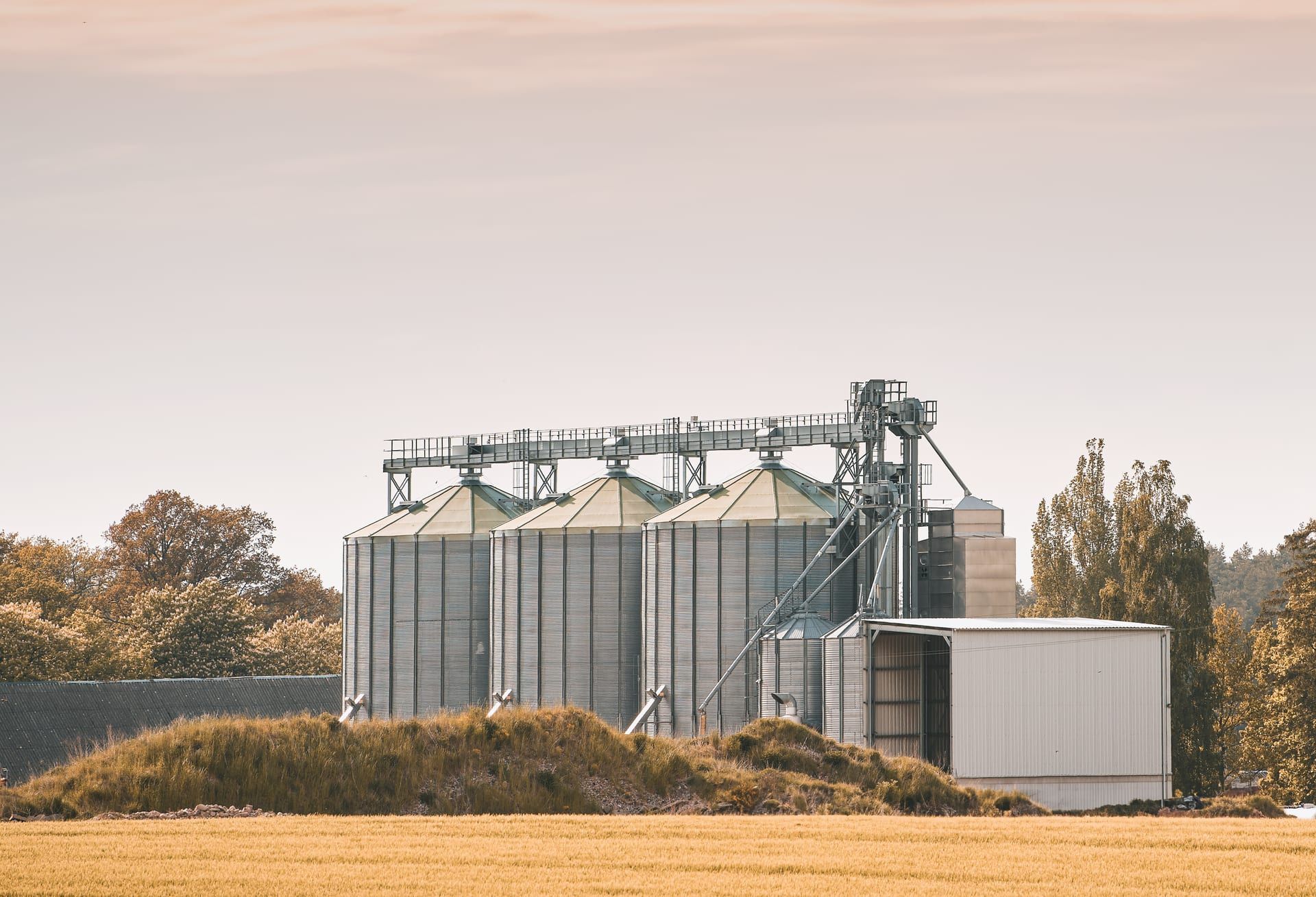 Silos de grano de acero junto a un campo